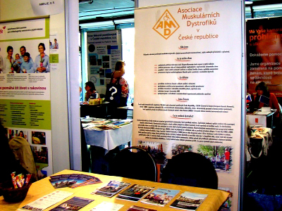 ngo market 2015