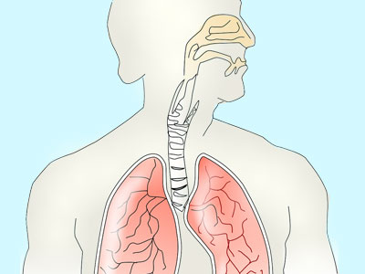 podpora plicni ventilace