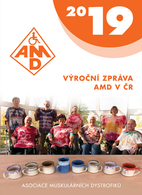 vyrocni zprava 2019