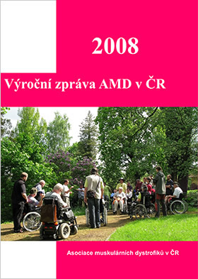 Výroční zpráva AMD za rok 2008