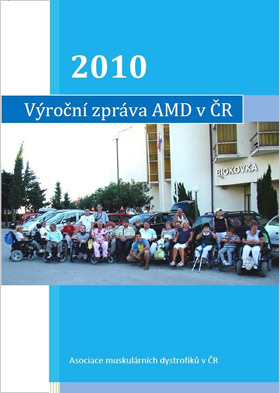 Výroční zpráva AMD za rok 2010