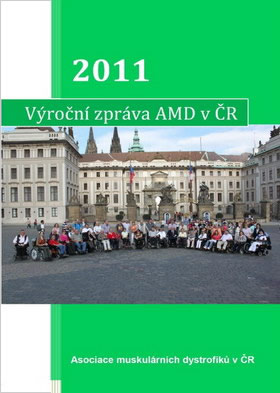 Výroční zpráva AMD za rok 2011