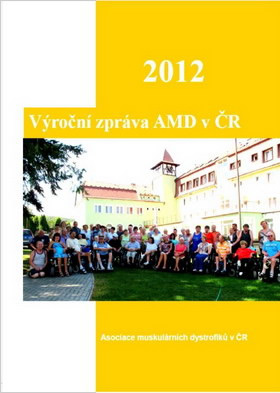 Výroční zpráva AMD za rok 2012