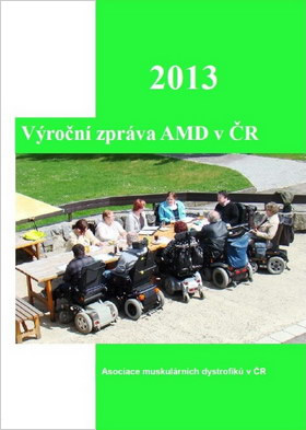 Výroční zpráva AMD za rok 2013