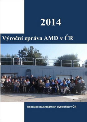 Výroční zpráva AMD za rok 2014