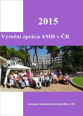 Výroční zpráva AMD za rok 2015