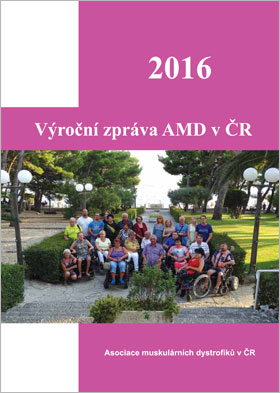 vyrocni zprava amd 2016